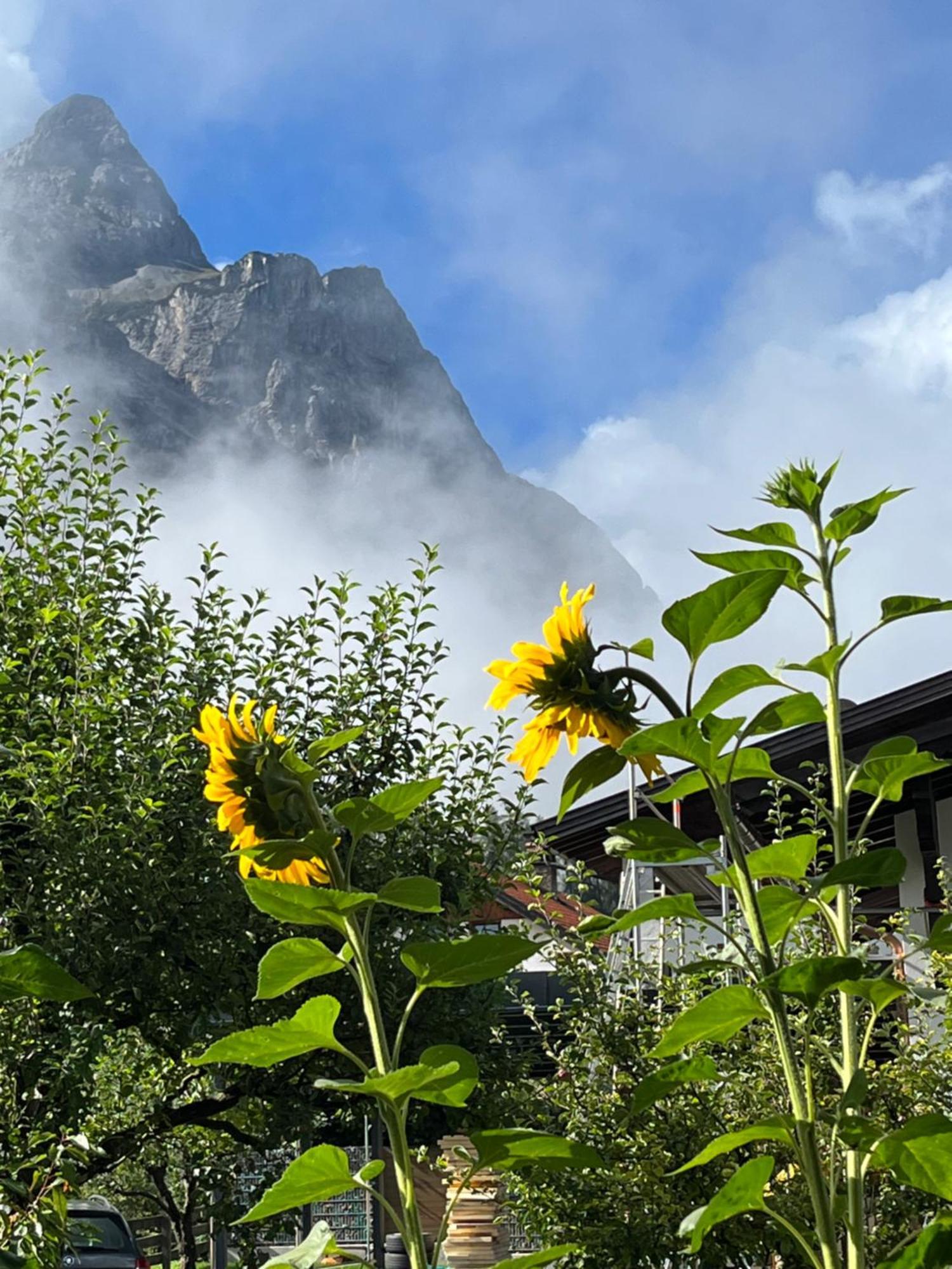 Haus Alpenblume Lägenhet Ehrwald Exteriör bild